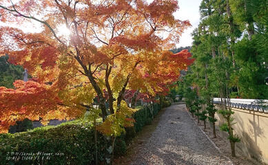 2019.10 Arashiyama in Kyoto
